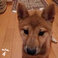 竹村 なな ちゃん