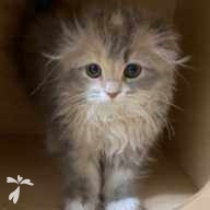 梅田 誇 ちゃん