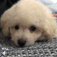 宇都 ココ ちゃん