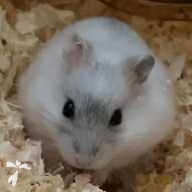 田中 珀 ちゃん