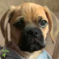 中村 Buzz ちゃん