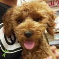 田上 くうた ちゃん