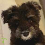 荒井 のの ちゃん