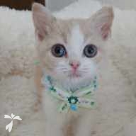 野瀬 エリック ちゃん