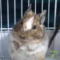 沖田 牡丹 ちゃん