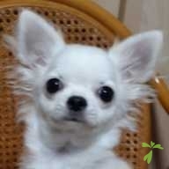 草郷 ソラ ちゃん