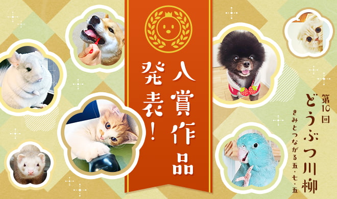 第十回どうぶつ川柳入賞作品発表