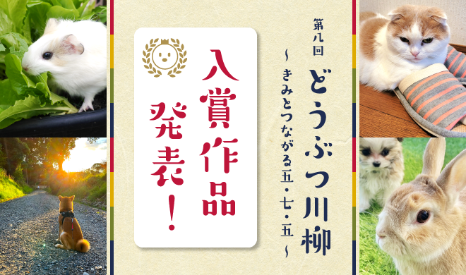 第八回どうぶつ川柳入賞作品発表