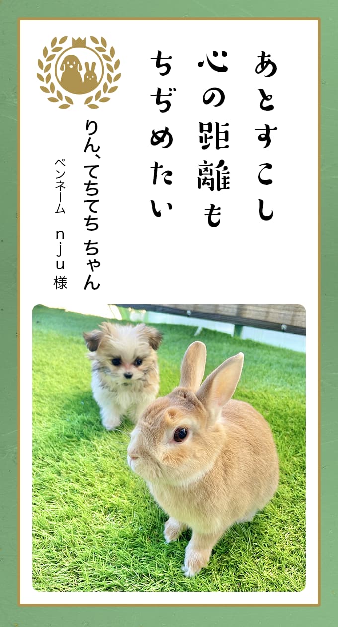 うさぎちゃんちゃん様♡ご確認ページ】 気持ち良し