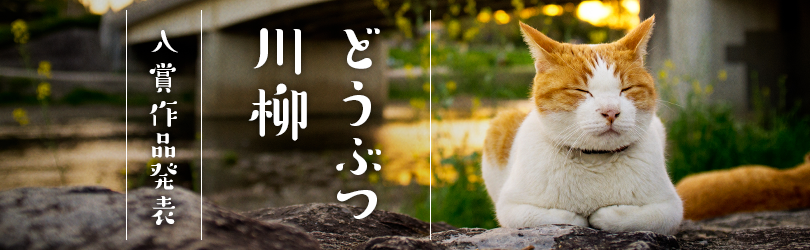 どうぶつ川柳　入賞作品発表！