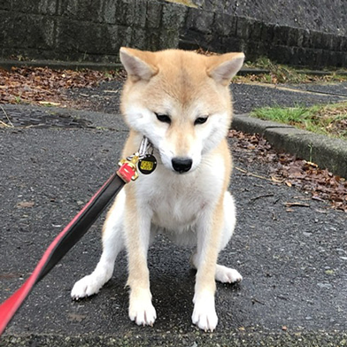 まひるちゃん