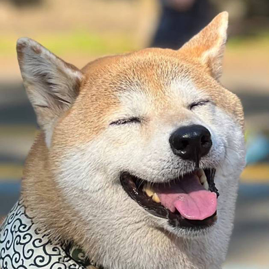 まるちゃん