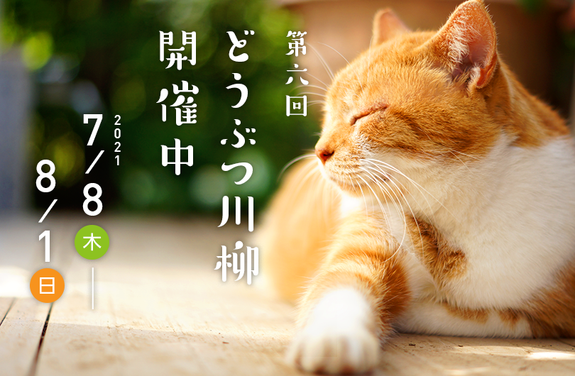 第六回どうぶつ川柳