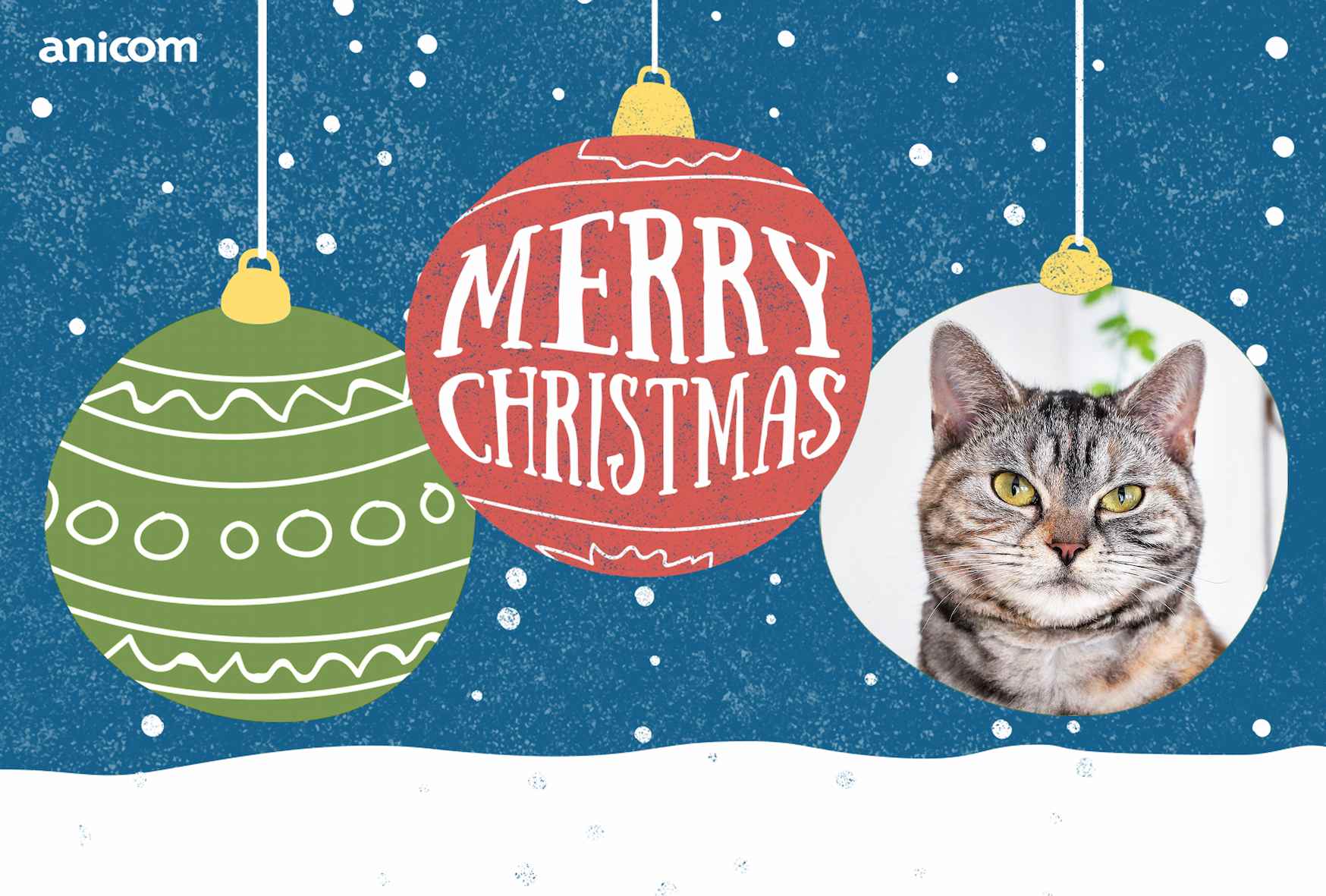 クリスマスグリーティングカード