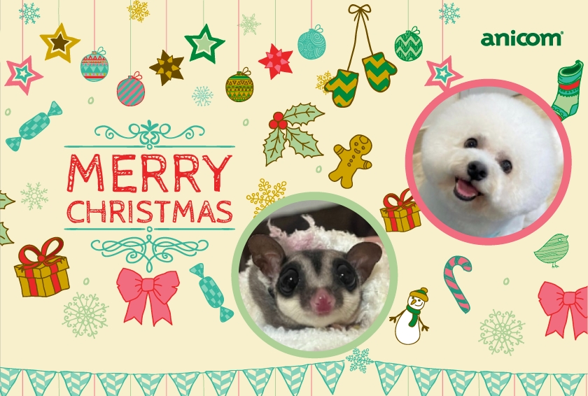 クリスマスカード