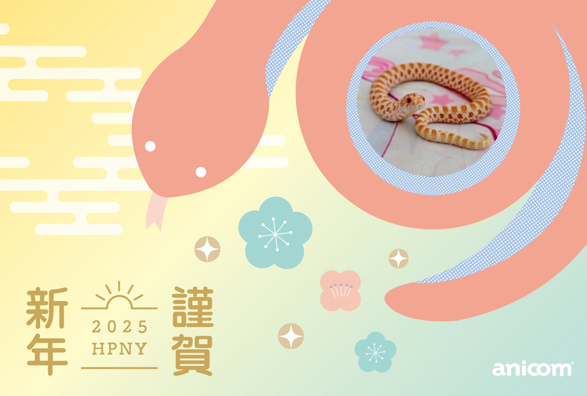 年賀状